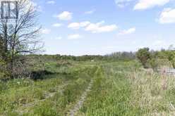 4429 Highway 17 | Macdonald, Meredith and Aberdeen Additional Ontario | Slide Image Four