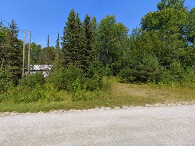 24584 Hwy 540 Manitoulin Island Ontario, P0P 1Y0 - Vacant Land For Sale