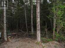 LOT 43 Lakeshore DR S | Sault Ste. Marie Ontario | Slide Image Six