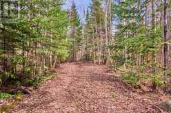 Lot 47 Bay Road | North Algoma Ontario | Slide Image Twelve