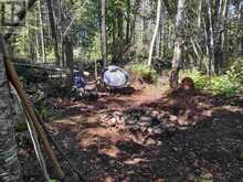 Lot 47 Bay Road | North Algoma Ontario | Slide Image Five