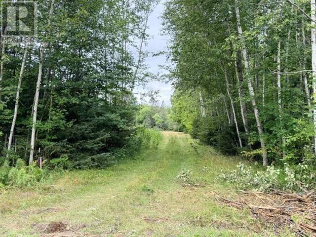 3 River DR Blind River Ontario, P0R 1B0 - Waterfront Land For Sale