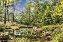 625 FINNS BAY RD | Macdonald, Meredith and Aberdeen Additional Ontario | Slide Image Forty-three