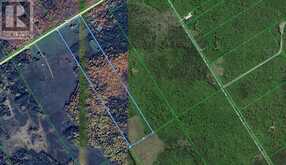 2277 D Line RD | St. Joseph Ontario | Slide Image Fifty