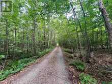 Lot 15 Gordan RD | Hilton Ontario | Slide Image Six