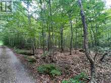 Lot 15 Gordan RD | Hilton Ontario | Slide Image Five