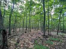 Lot 15 Gordon RD | Hilton Ontario | Slide Image Seven