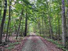 Lot 15 Gordon RD | Hilton Ontario | Slide Image Nine