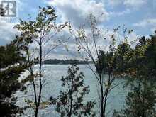 Island CK27 Off Pine Island RD | Desbarats Ontario | Slide Image Twenty-three