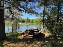 Island CK27 Off Pine Island RD | Desbarats Ontario | Slide Image Twenty-four