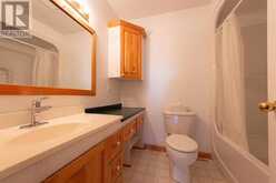 157 East Balfour ST | Sault Ste. Marie Ontario | Slide Image Twenty