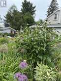 157 East Balfour ST | Sault Ste. Marie Ontario | Slide Image Forty-two