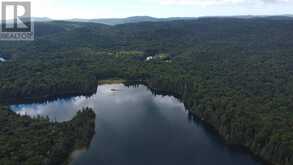 7 Weckstrom Lake | North Algoma Ontario | Slide Image Forty