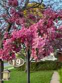 19 Illinois AVE | Sault Ste. Marie Ontario | Slide Image Thirty-nine