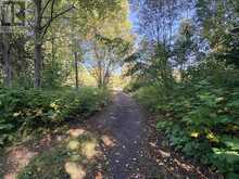 Coppermine Point Hwy 17N HWY N | North Algoma Ontario | Slide Image Ten