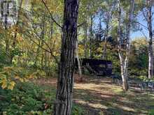 Coppermine Point Hwy 17N HWY N | North Algoma Ontario | Slide Image Two
