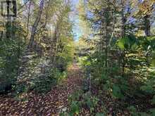 Coppermine Point Hwy 17N HWY N | North Algoma Ontario | Slide Image Thirteen