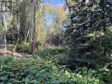 Coppermine Point Hwy 17N HWY N | North Algoma Ontario | Slide Image Four