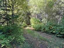 Coppermine Point Hwy 17N HWY N | North Algoma Ontario | Slide Image Nine