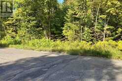 000 Pumpkin Point RD E | North Algoma Ontario | Slide Image Three