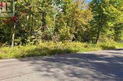 000 Pumpkin Point RD E | North Algoma Ontario | Slide Image Two