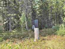 PCL 8 Sec Dog LK | Missanabie Ontario | Slide Image Eighteen