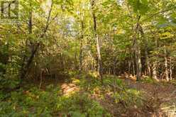 Lot 16 Nokomis Beach RD | Sault Ste. Marie Ontario | Slide Image Four