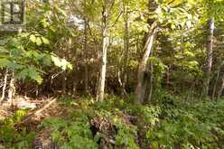 Lot 16 Nokomis Beach RD | Sault Ste. Marie Ontario | Slide Image Three