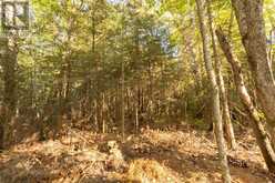 Lot 16 Nokomis Beach RD | Sault Ste. Marie Ontario | Slide Image Six