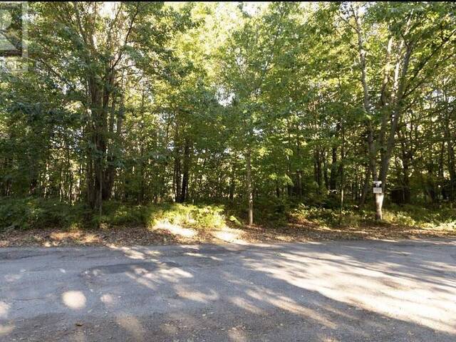 Lot 16 Nokomis Beach RD Sault Ste. Marie Ontario, P6A 5K6 - Vacant Land For Sale