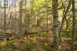 Lot 14&15 Nokomis Beach RD | Sault Ste. Marie Ontario | Slide Image Ten