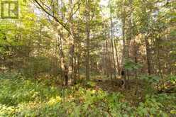 Lot 14&15 Nokomis Beach RD | Sault Ste. Marie Ontario | Slide Image Seven