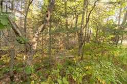 Lot 14&15 Nokomis Beach RD | Sault Ste. Marie Ontario | Slide Image Eight