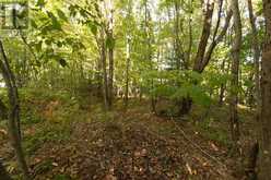 Lot 19 Nokomis Beach RD | Sault Ste. Marie Ontario | Slide Image Ten