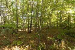 Lot 19 Nokomis Beach RD | Sault Ste. Marie Ontario | Slide Image Eleven