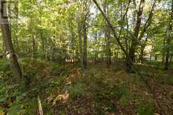 Lot 19 Nokomis Beach RD | Sault Ste. Marie Ontario | Slide Image Thirteen
