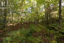 Lot 19 Nokomis Beach RD | Sault Ste. Marie Ontario | Slide Image Four