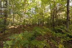 Lot 19 Nokomis Beach RD | Sault Ste. Marie Ontario | Slide Image Five
