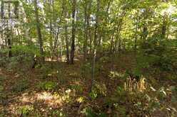 Lot 19 Nokomis Beach RD | Sault Ste. Marie Ontario | Slide Image Six