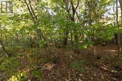 Lot 19 Nokomis Beach RD | Sault Ste. Marie Ontario | Slide Image Seven