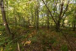Lot 19 Nokomis Beach RD | Sault Ste. Marie Ontario | Slide Image Nine