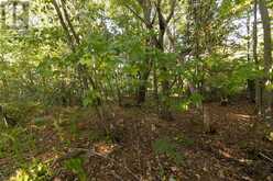 Lot 19 Nokomis Beach RD | Sault Ste. Marie Ontario | Slide Image Eight
