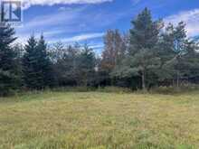 831 I Line RD | Hilton Ontario | Slide Image Twenty-two