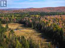 . Christina Mine RD | North Algoma Ontario | Slide Image Five