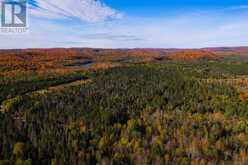 . Christina Mine RD | North Algoma Ontario | Slide Image Eight