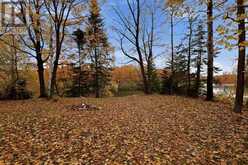 816 Pine Shores RD | North Algoma Ontario | Slide Image Thirty-six