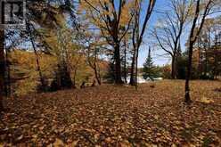 816 Pine Shores RD | North Algoma Ontario | Slide Image Thirty-seven