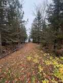 2648 & 2652 Canoe Point RD | St. Joseph Ontario | Slide Image Five