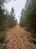 2648 & 2652 Canoe Point RD | St. Joseph Ontario | Slide Image Six