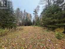 2648 & 2652 Canoe Point RD | St. Joseph Ontario | Slide Image Seven